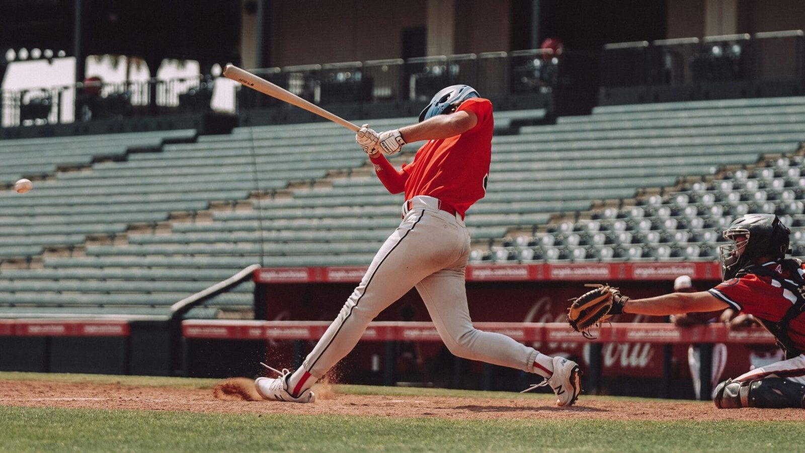 Designated Hitter