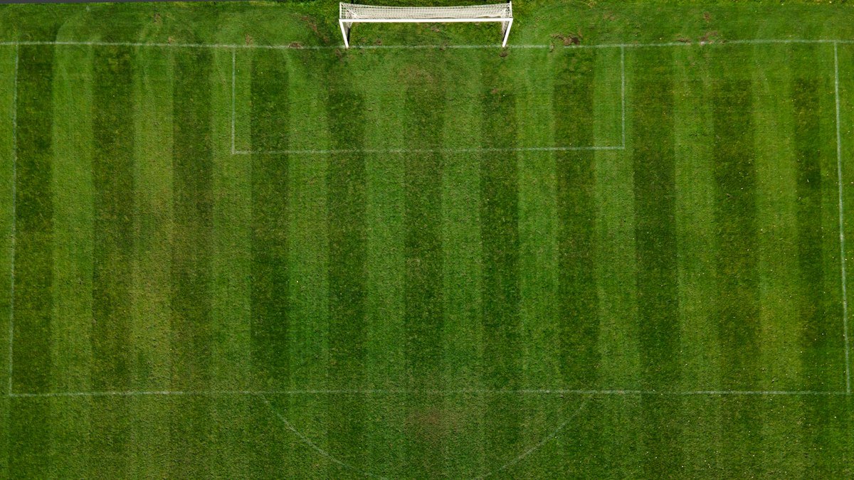 Aerial view of a striped grass soccer pitch with a goal at one end